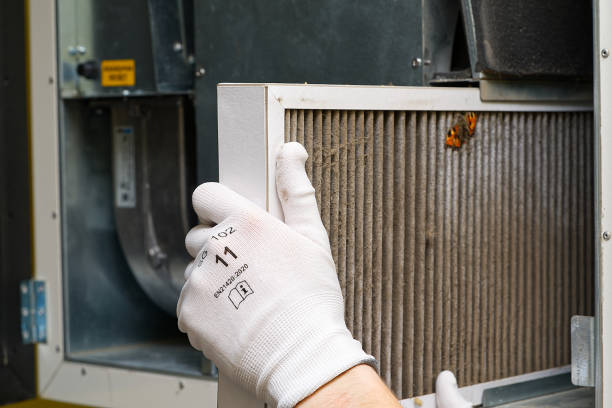 Best Air Duct Cleaning Near Me  in Savannah, TN